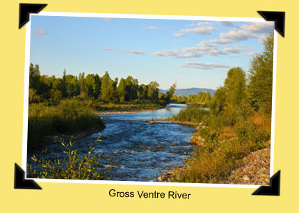 Gross Ventre River